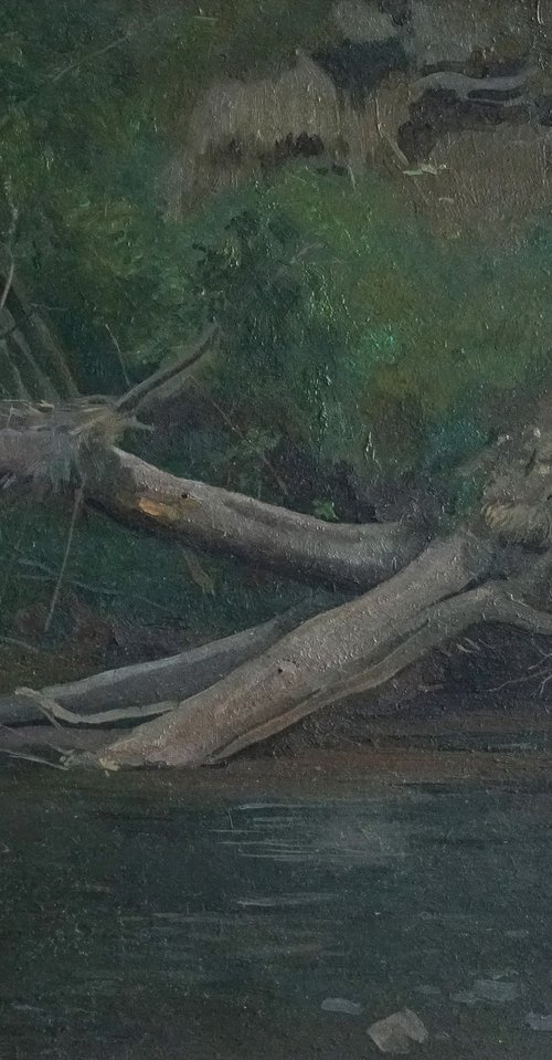 A broken tree in the Semyn River by Simon Kozhin