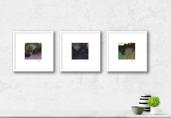 Nature's Rhythm Collection 3