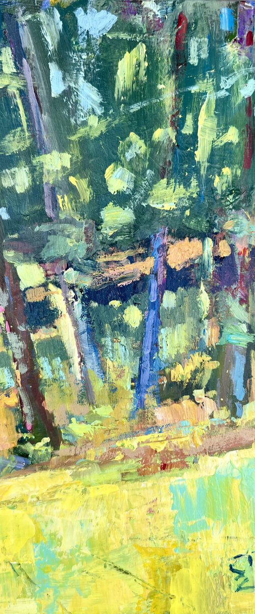 In the Forest, Hawley, PA by Jimmy Leslie