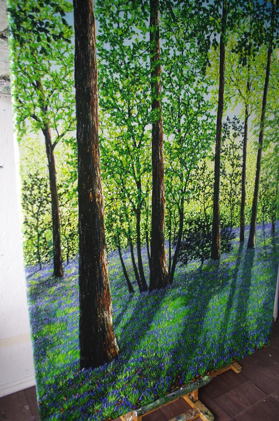 Springtime Shadows