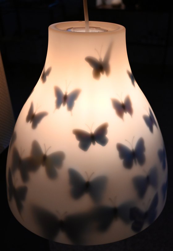 Butterfly roost