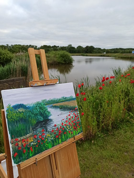 Red poppies by the water. Pleinair painting