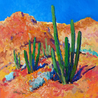 Desert