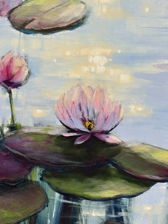 Light & Water Lilies 2