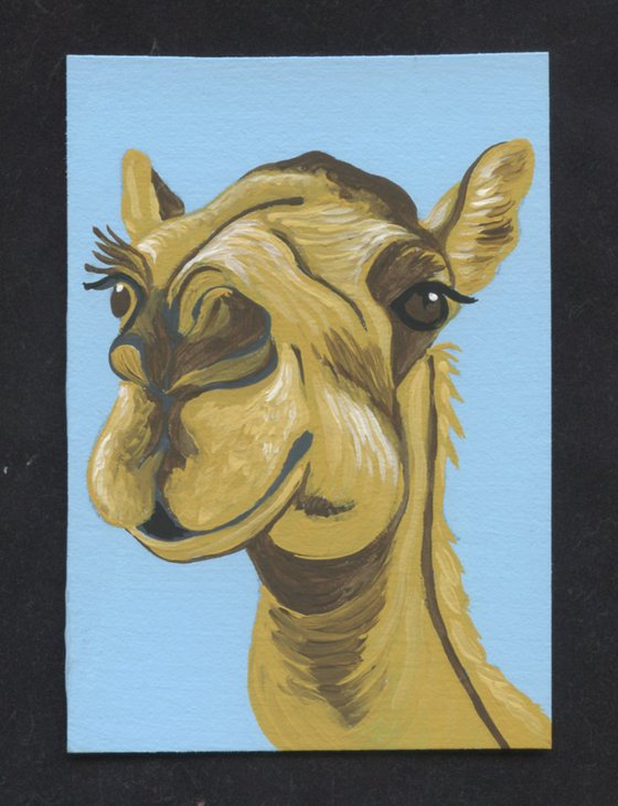 ACEO ATC Original Miniature Painting Camel Domestic Animal Art-Carla Smale