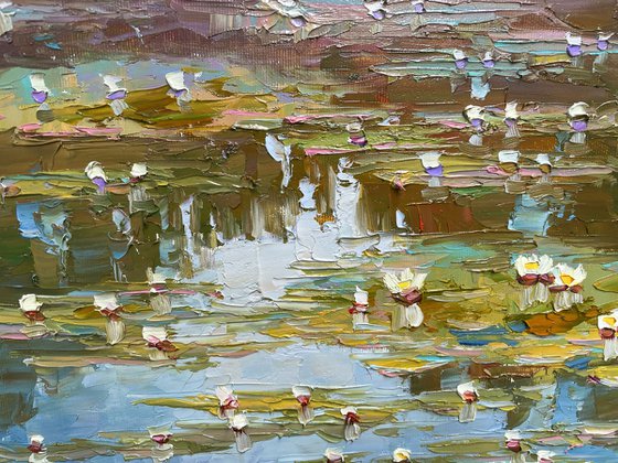 "Water lilies"