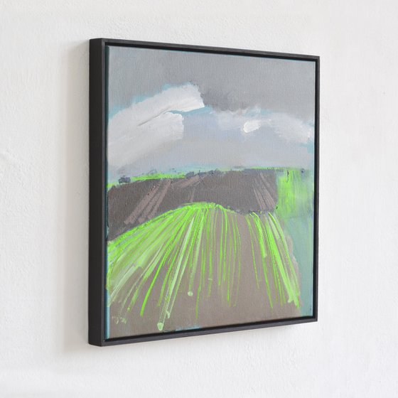 Fields turn green