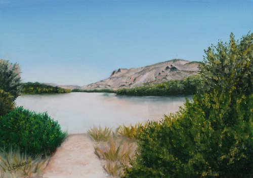 Summer on the Rio Grande by Carmen Badeau