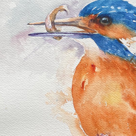 Fresh Catch_ Kingfisher