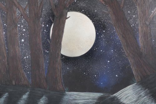 A Night in the Forest by Ruth Searle
