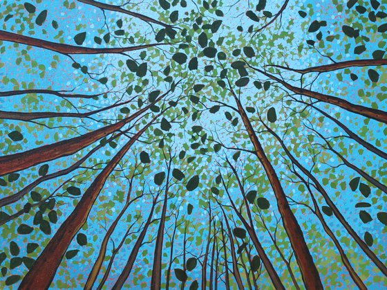 Canopy