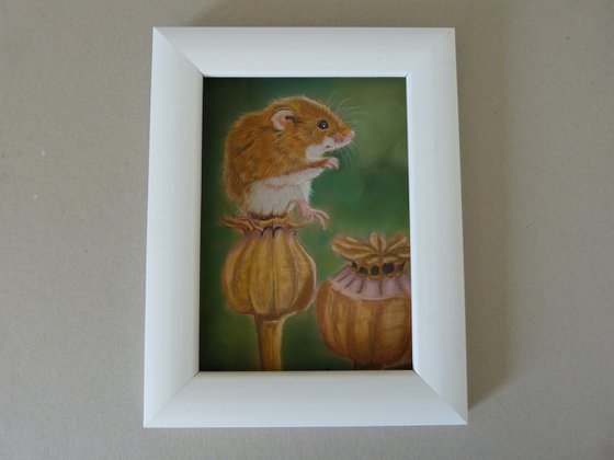 Harvest Mouse - original pastel painting