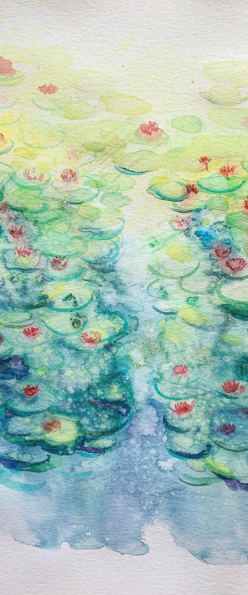 Waterlilies #2 by Olga Pascari