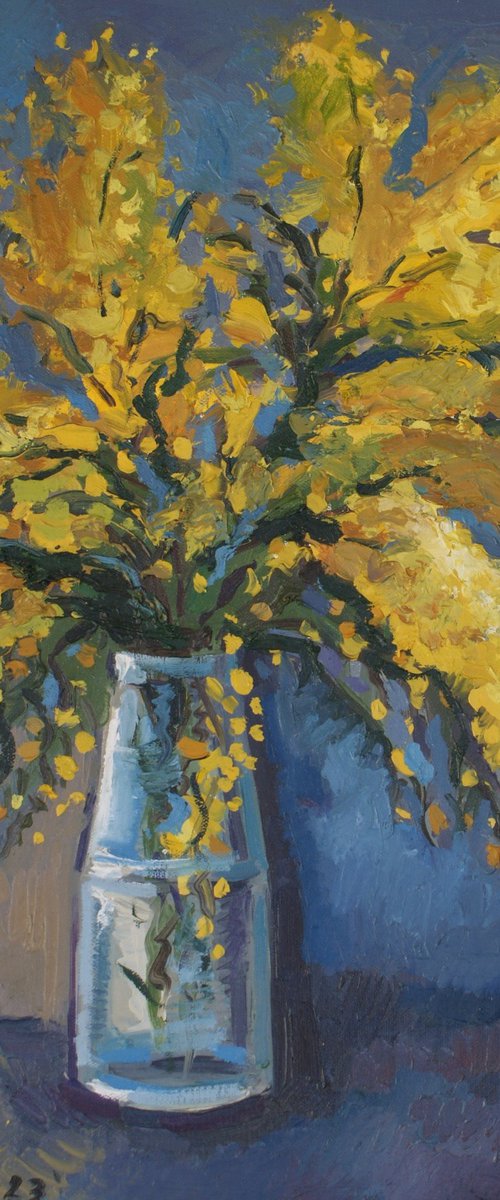 Mimosa flowers by Joan Mato