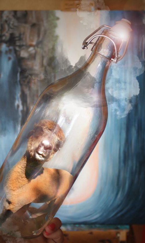 Alpaca Bottle by Vanessa Stefanova