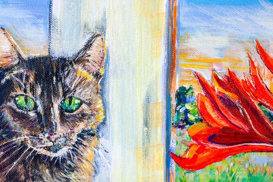WINDOWSILL CAT WITH RED AMARYLLIS