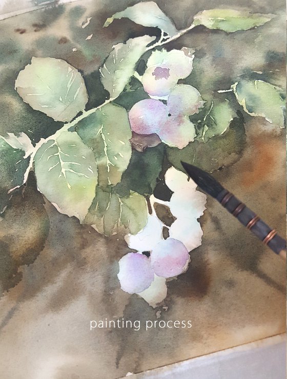 Blueberries ripen, Surprise in mom's garden, Small watercolor painting