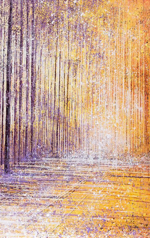 Warm Evening Light Through Trees by Marc Todd