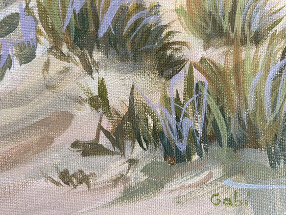 Evening in the Dunes