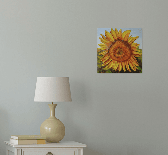Sunlit sunflower