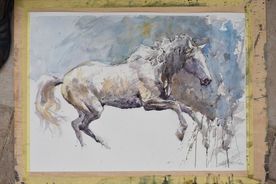 Running horse (70x50)