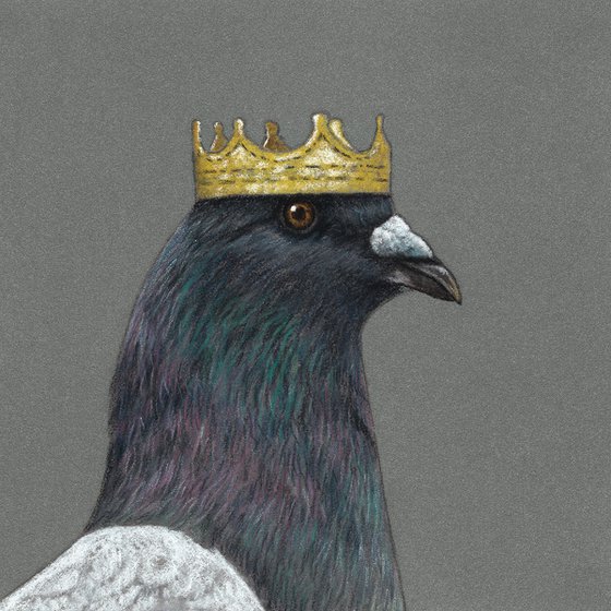 Original pastel drawing "Rock dove"