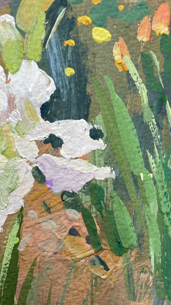 White irises in the garden