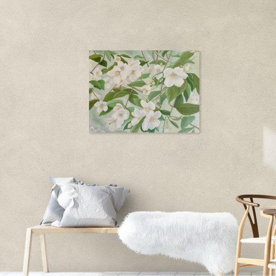 Orange Blossoms