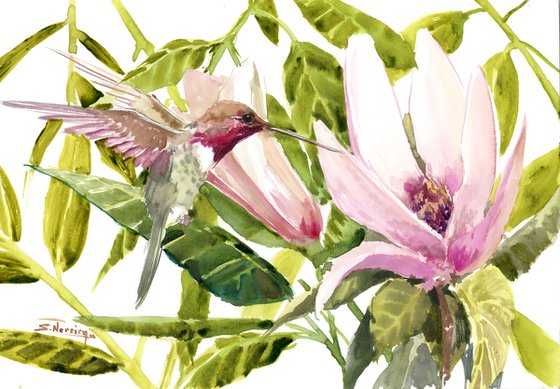 Hummingbird and Magnolia