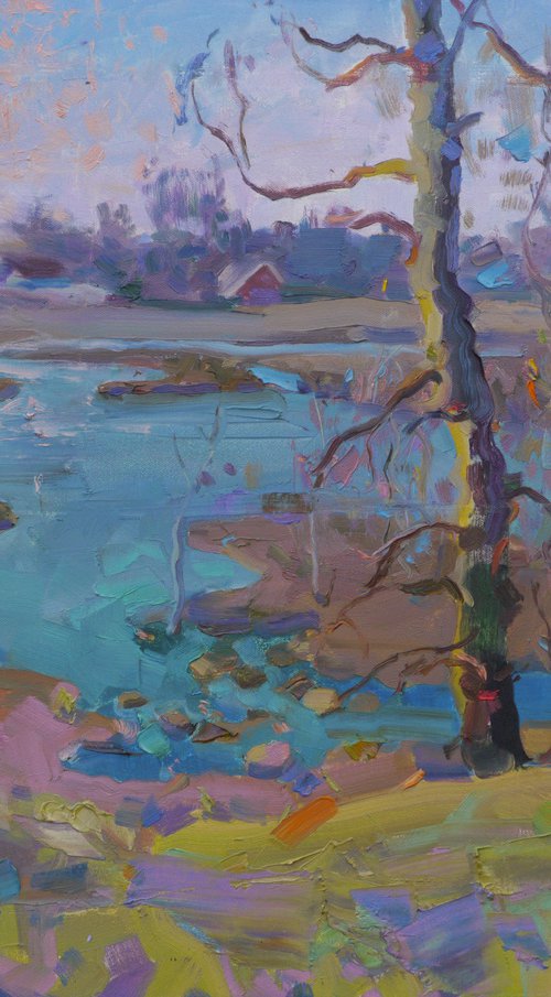 Lake in Pavlovka by Victor Onyshchenko