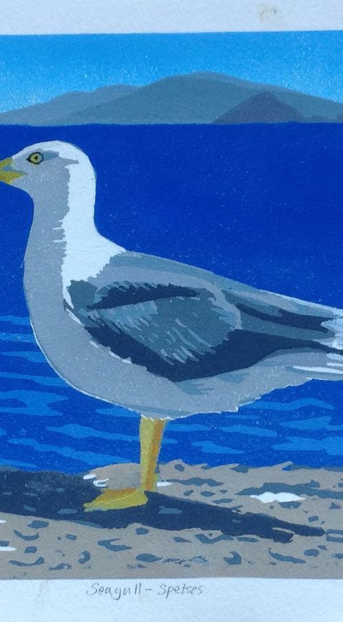 Seagull Spetses by Rosalind Forster