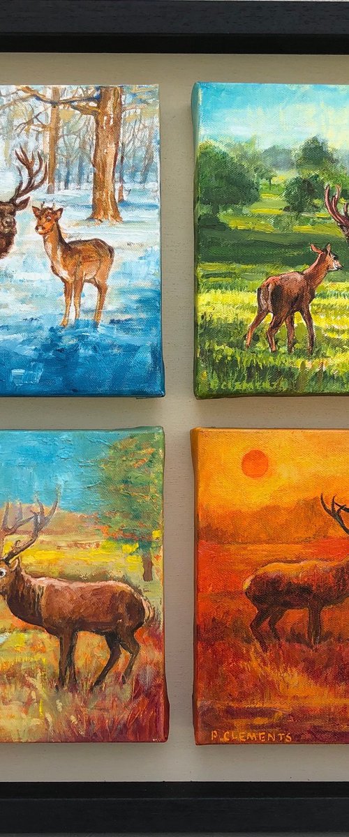 Four Seasons of Richmond Park by Patricia Clements