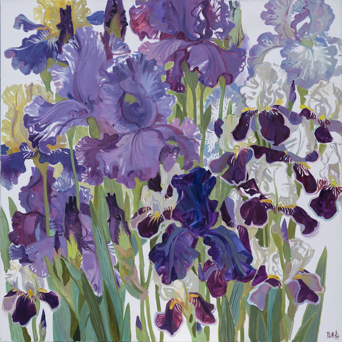Impressionistic Botanical Oil Painting By Liudmyla Korzh-Radko, 35 X 35", Irises. Blue., Original Artwork