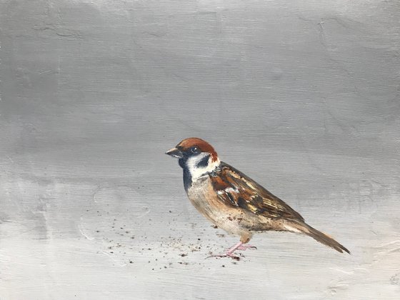 Sparrow II