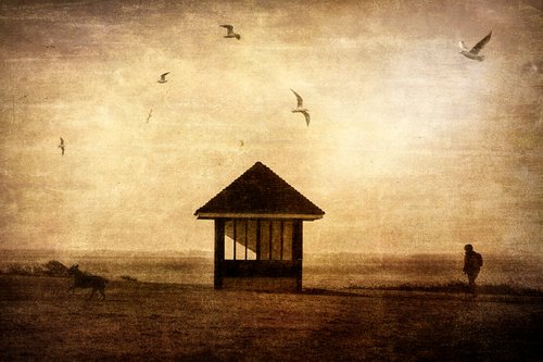 Man, Dog and Hut. by Martin  Fry