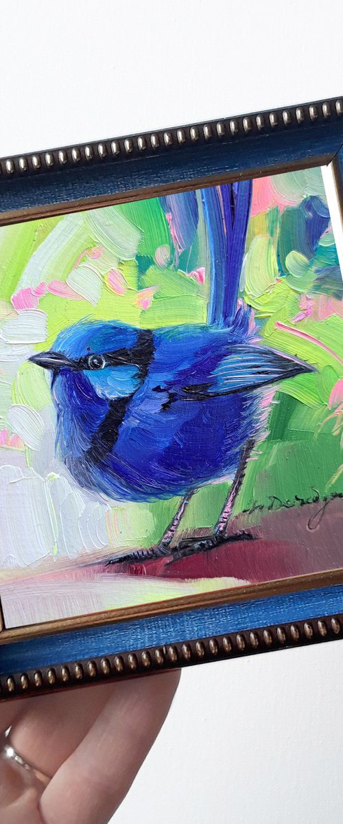 Fairywren bird by Nataly Derevyanko