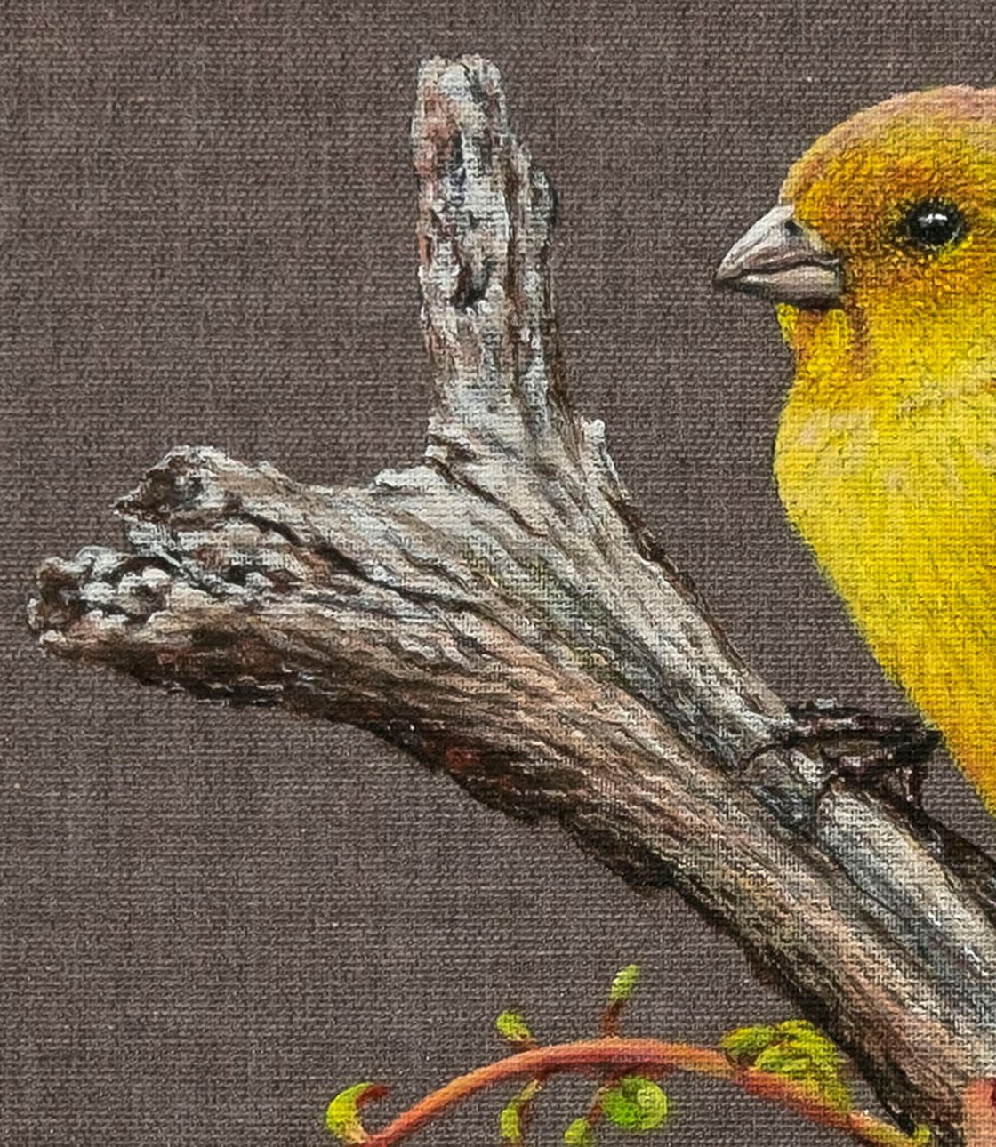 The Bird. Yellow Canary. Oil painting: Anastasia Woron