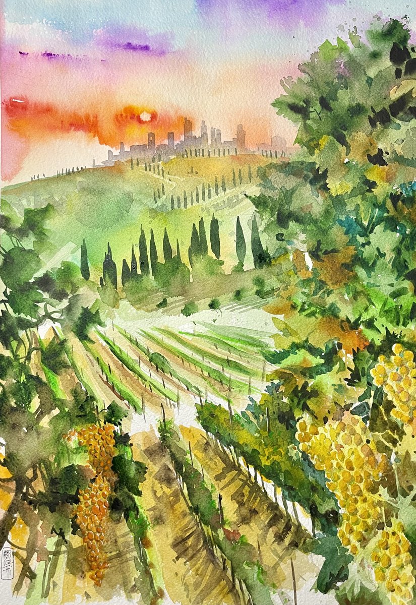 Impressionistic Watercolour , Vineyard Sunset Watercolor Art By Alessandro Andreuccetti, 14 X 20, Artwork For Sale On Artfinder