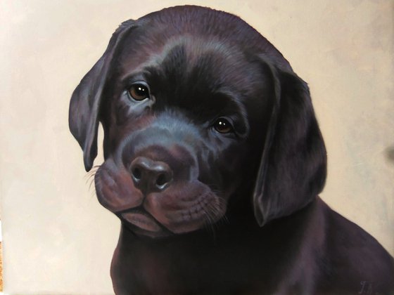Doggy-1  (40x50cm, oil painting, ready to hang)