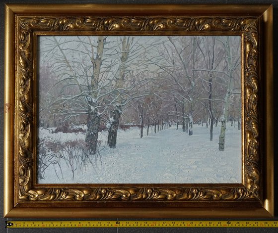Snow-covered boulevard in Maryino