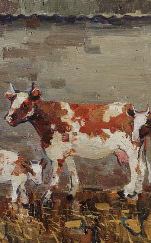 Cows by Yuliia Pastukhova