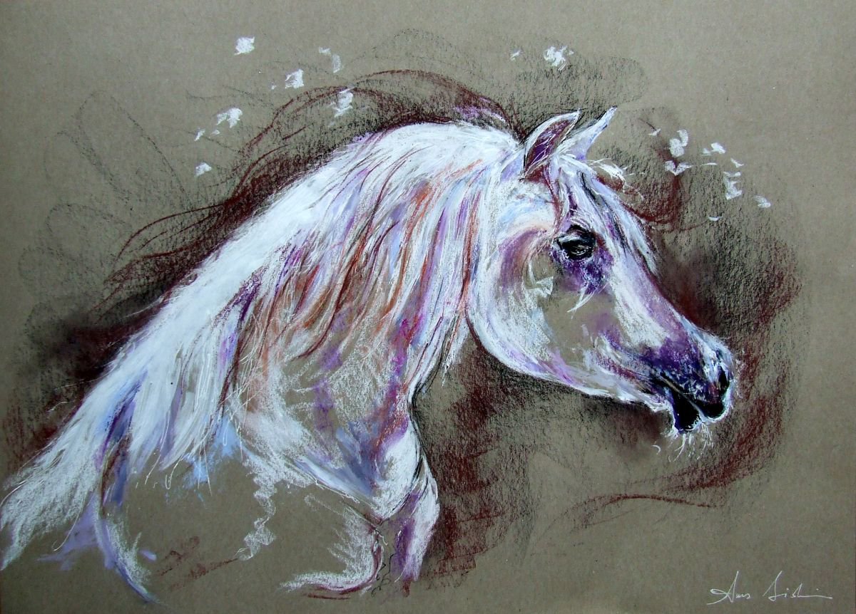 My pretty white Horse by Anna Sidi-Yacoub