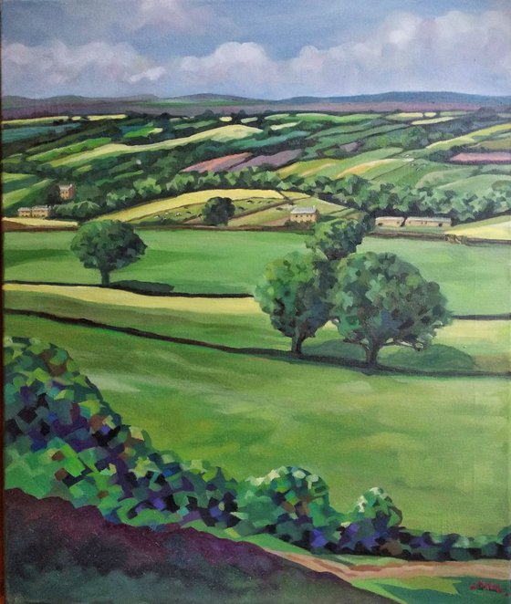 The Changing Fields