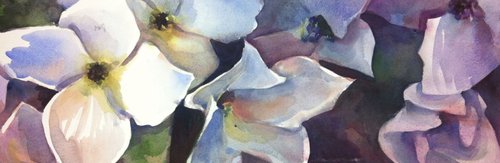 White Flowers by Sri Rao
