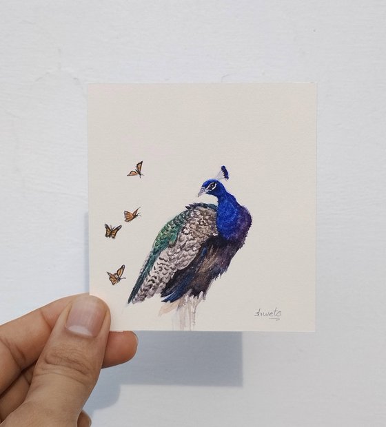 Peacock Miniature Art