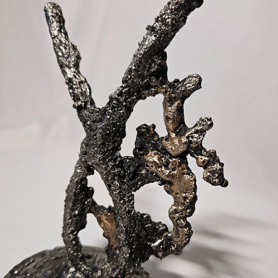 Zodiac sign Capricorn 16-25
