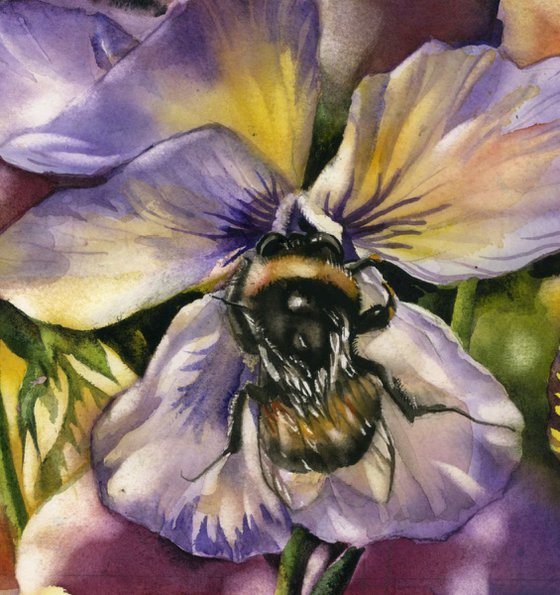 bee with pansy