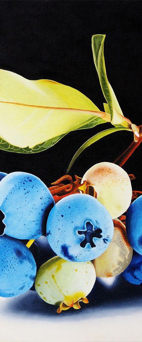 Blueberry Twig by Dietrich Moravec
