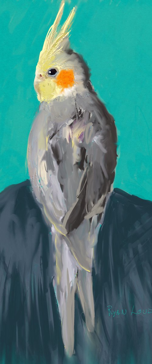 Cockatiel Against A Teal Background by Ryan  Louder