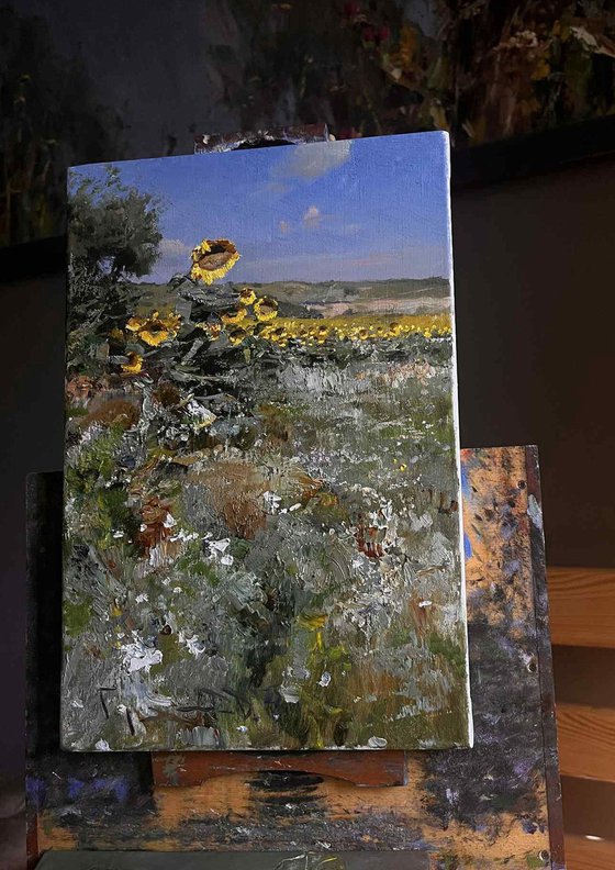 Summer field